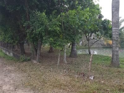 Thi công vườn canh Quận 2