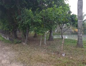 Thi công vườn canh Quận 2